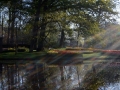 Keukenhof april 2019 10