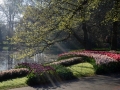 Keukenhof april 2019 11