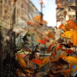 barcelona la rambla