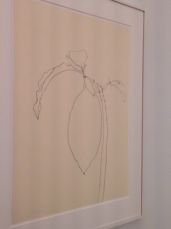 ellsworth-kelly-datura-drawing-kl