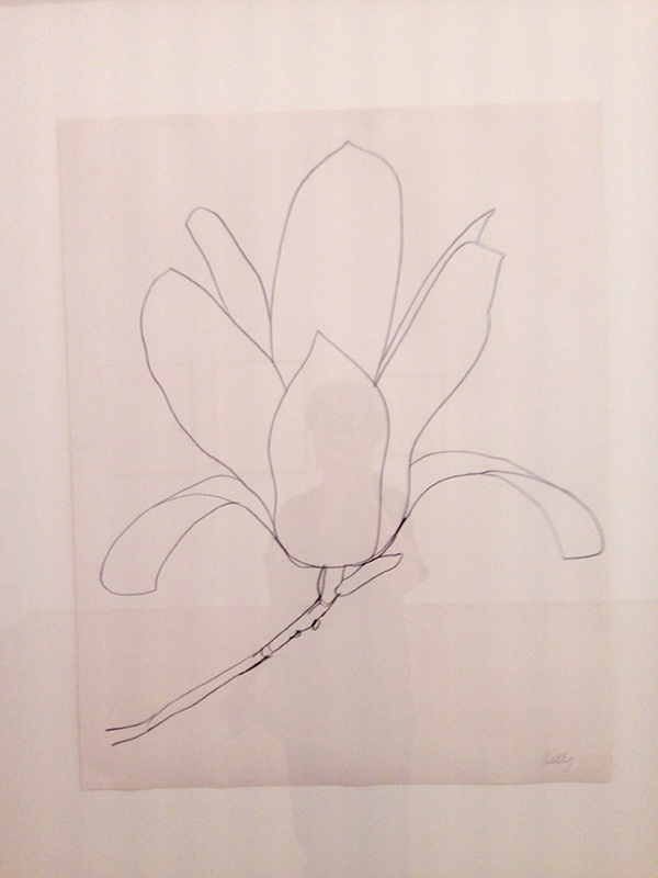 ellsworth-kelly-magnolia-drawing-kl