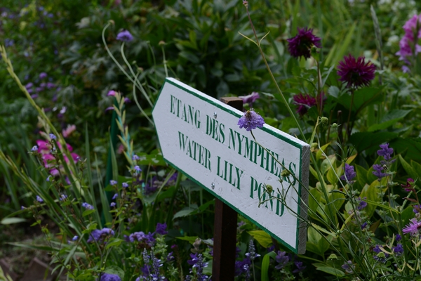 Monet Garden Giverny 16 july 2017 11