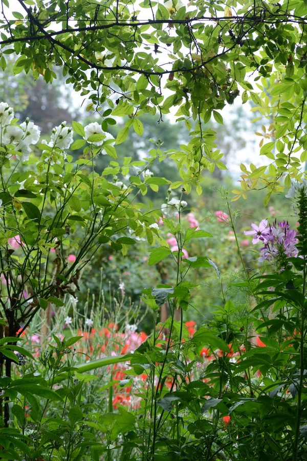 Monet Garden Giverny 16 july 2017 13