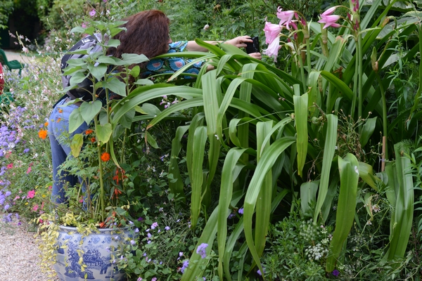 Monet Garden Giverny 16 july 2017 17