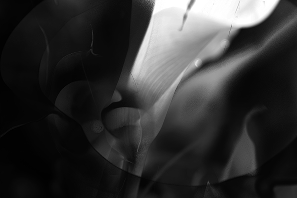 Abstract forms